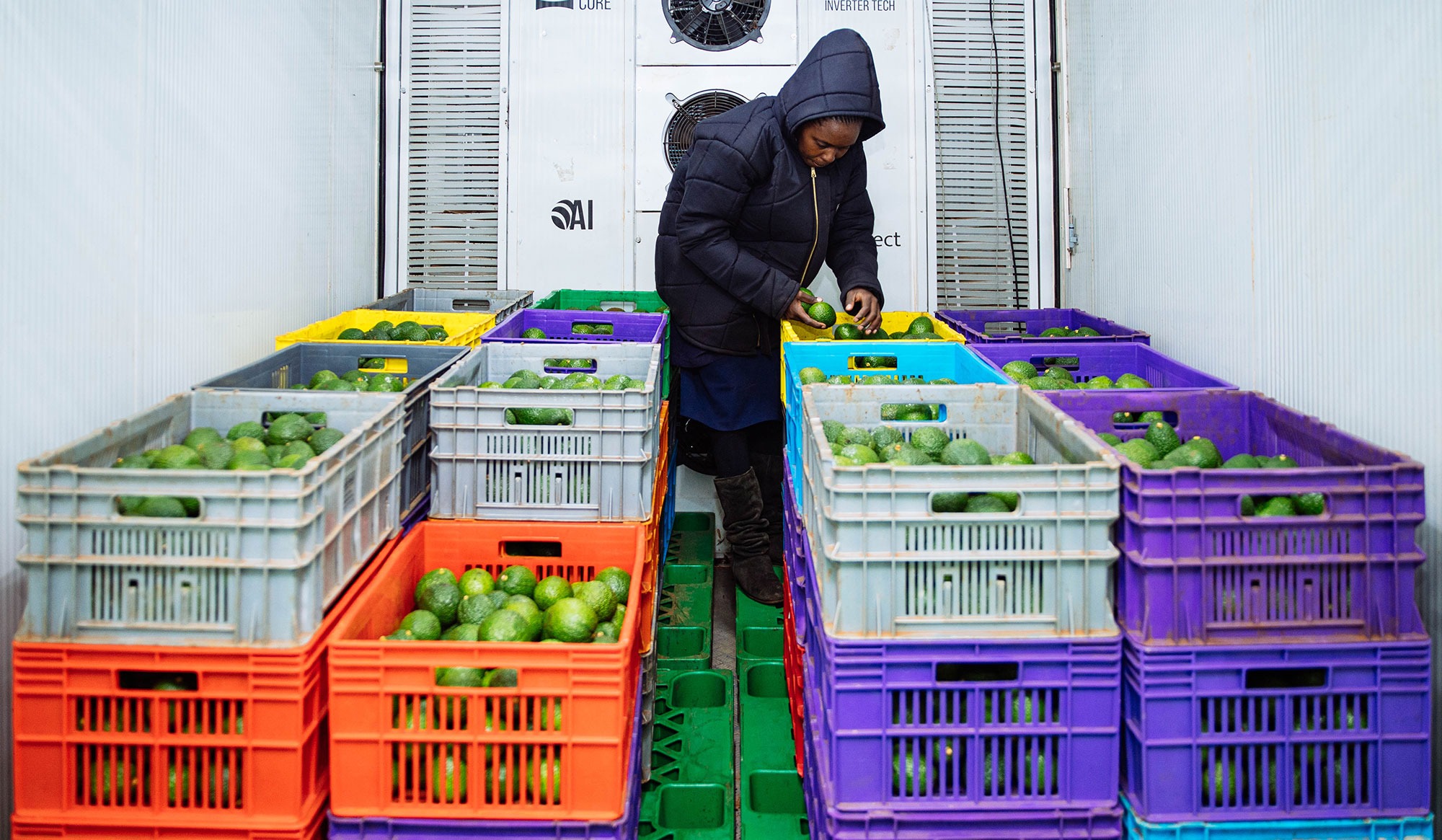 Reducing post-harvest losses for smallholder farmers through accessible cold storage